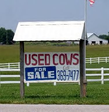 Kasutatud lehmad müügiks.jpg